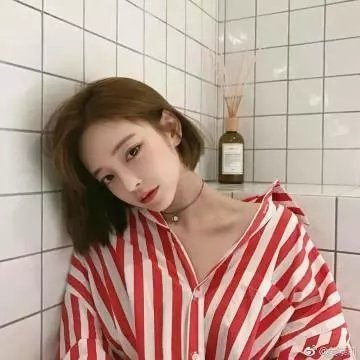 你好卡特