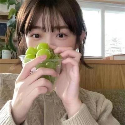 孤雏泪